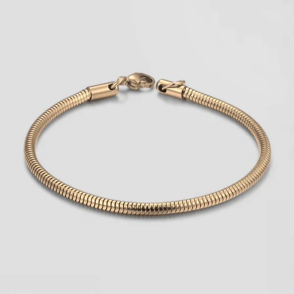 Snake Bracelet [Golden] — Tiara 1